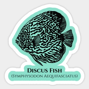 Discus Fish with Common and Scientific Names Sticker